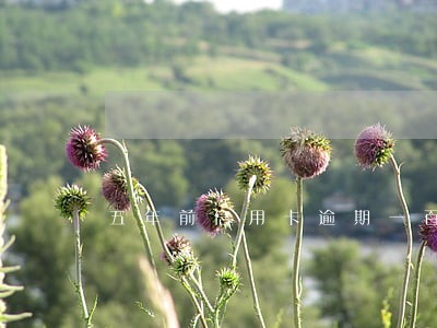 五年前信用卡逾期一百多天 五年前信用卡逾期一百多天