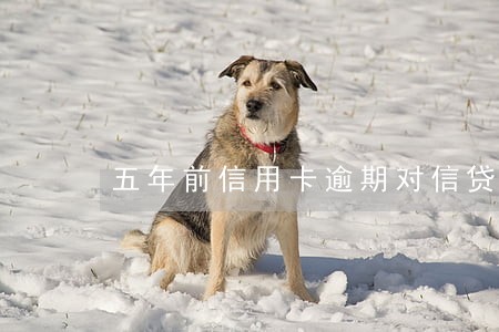 五年前信用卡逾期对信贷有影响吗 五年前信用卡逾期对信贷有影响吗