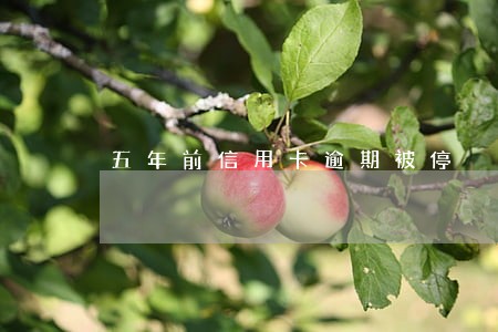 五年前信用卡逾期被停