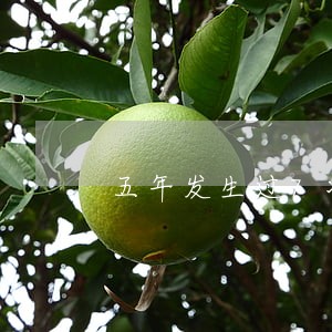 五年发生过7次逾期 五年发生过7次逾期