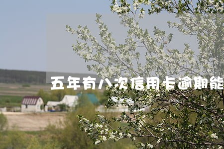 五年有八次信用卡逾期能贷放 五年有八次信用卡逾期能贷放
