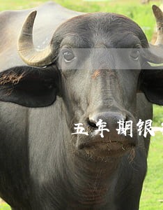 五年期银行贷款逾期利率 五年期银行贷款逾期利率