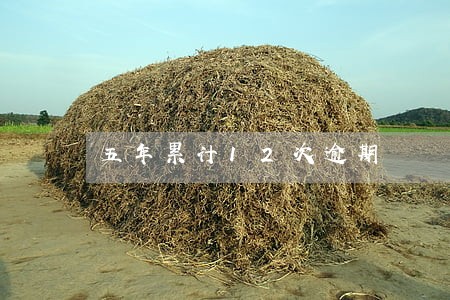 五年累计12次逾期 五年累计12次逾期