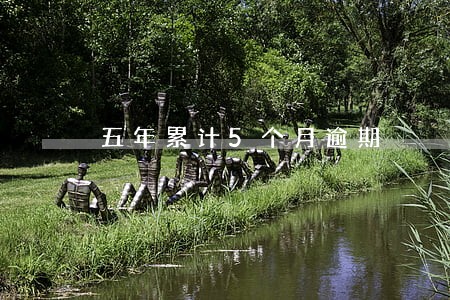 五年累计5个月逾期 五年累计5个月逾期