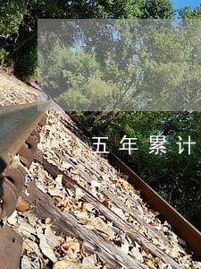 五年累计逾期记录10次 五年累计逾期记录10次