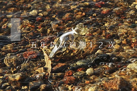 五年贷款逾期12次
