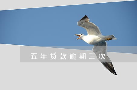 五年贷款逾期三次 五年贷款逾期三次