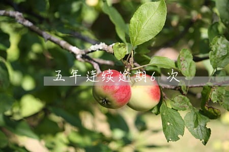 五年连续逾期6次 五年连续逾期6次
