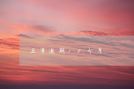五年逾期10个月 五年逾期10个月
