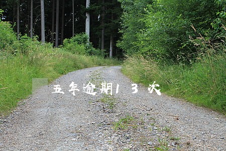 五年逾期13次 五年逾期13次
