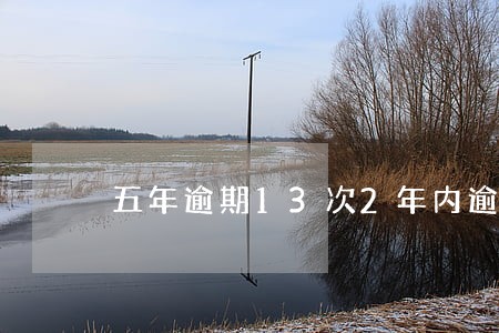 五年逾期13次2年内逾期1次 五年逾期13次2年内逾期1次