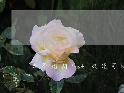 五年逾期14次还可以按揭吗