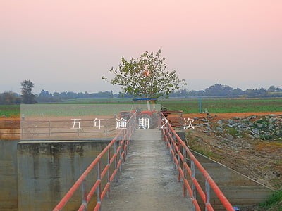 五年逾期2次
