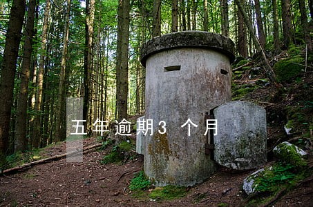 五年逾期3个月
