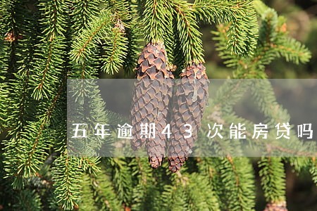 五年逾期43次能房贷吗 五年逾期43次能房贷吗