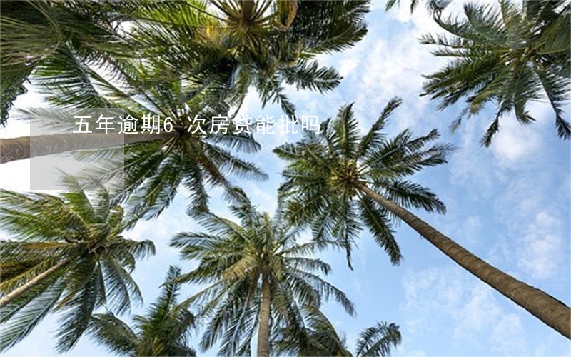 五年逾期6次房贷能批吗 五年逾期6次房贷能批吗