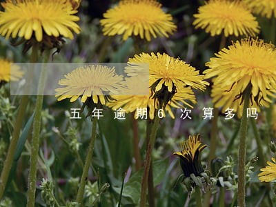 五年逾期6次算多吗 五年逾期6次算多吗