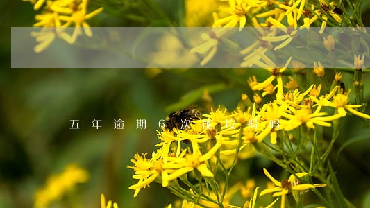 五年逾期6次能按揭吗 五年逾期6次能按揭吗