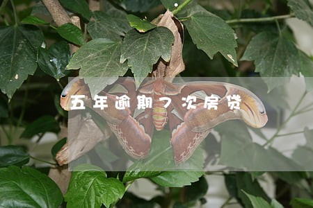 五年逾期7次房贷 五年逾期7次房贷
