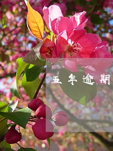 五年逾期7次还能办理车贷吗 五年逾期7次还能办理车贷吗