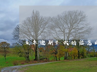 五年逾期9次的话怎么房贷 五年逾期9次的话怎么房贷