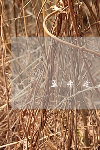 五年逾期9次能贷款吗 五年逾期9次能贷款吗