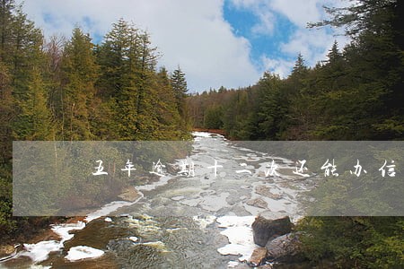 五年逾期十二次还能办信用卡吗