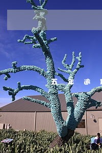 五年逾期还款80元