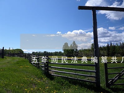 五年间民法典编纂共几次 五年间民法典编纂共几次