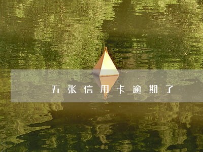五张信用卡逾期了