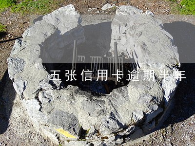五张信用卡逾期半年 五张信用卡逾期半年