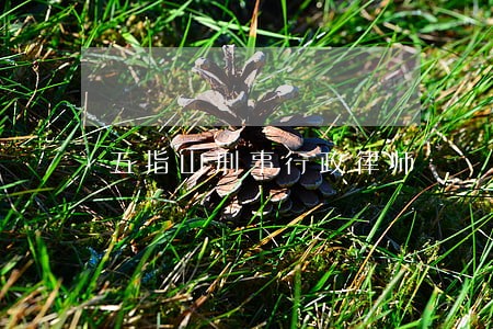 五指山刑事行政律师 五指山刑事行政律师