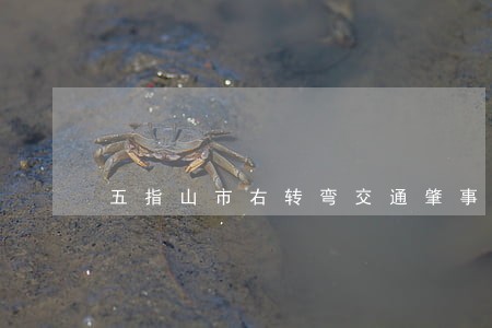 五指山市右转弯交通肇事诉讼程序 五指山市右转弯交通肇事诉讼程序