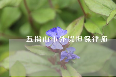 五指山市外贸担保律师 五指山市外贸担保律师