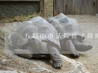 五指山市法院班子简历 五指山市法院班子简历