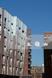 五指山市质押合同纠纷律师 五指山市质押合同纠纷律师