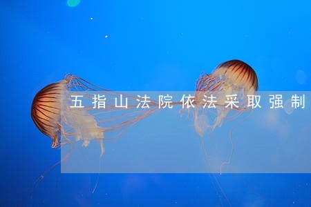 五指山法院依法采取强制措施 五指山法院依法采取强制措施