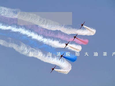 五指山法院加大油茶产业帮扶力度 五指山法院加大油茶产业帮扶力度