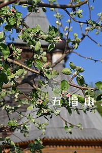 五指山法院查封房产拍卖在即 五指山法院查封房产拍卖在即