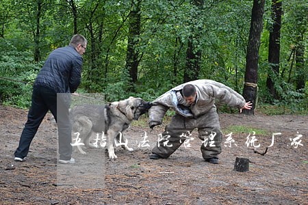 五指山法院管理系统厂家批发价格 五指山法院管理系统厂家批发价格
