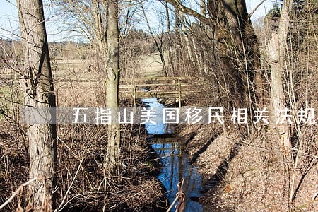 五指山美国移民相关法规是什么 五指山美国移民相关法规是什么