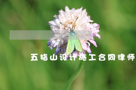 五指山设计施工合同律师 五指山设计施工合同律师