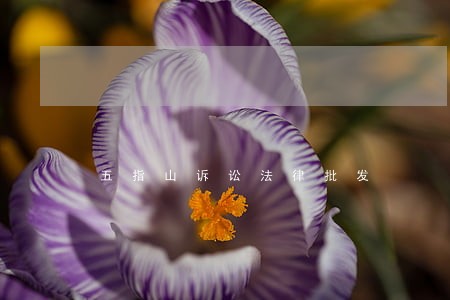 五指山诉讼法律批发 五指山诉讼法律批发
