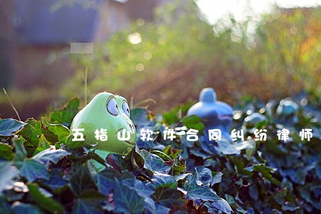 五指山软件合同纠纷律师 五指山软件合同纠纷律师