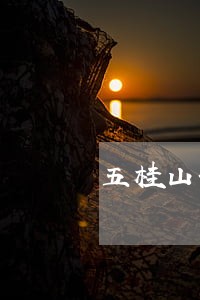 五桂山刑事合规在线律师 五桂山刑事合规在线律师
