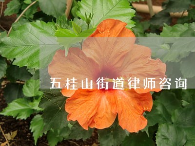 五桂山街道律师咨询
