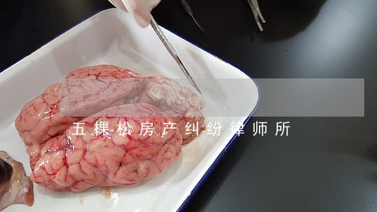 五棵松房产纠纷律师所 五棵松房产纠纷律师所