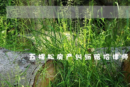 五棵松房产纠纷赔偿律师 五棵松房产纠纷赔偿律师
