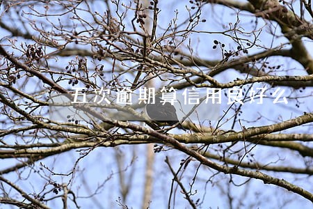 五次逾期算信用良好么 五次逾期算信用良好么