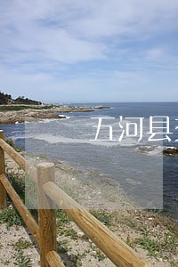 五河县交通事故法律顾问